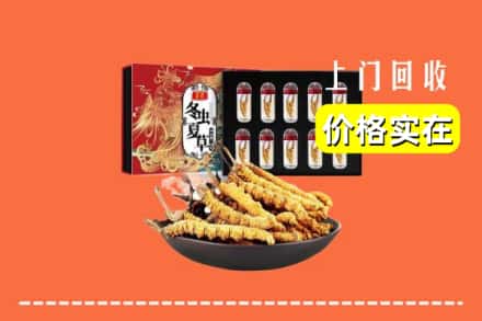 勐海县回收虫草